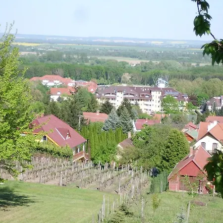 Апартаменты Panorama Залакарош